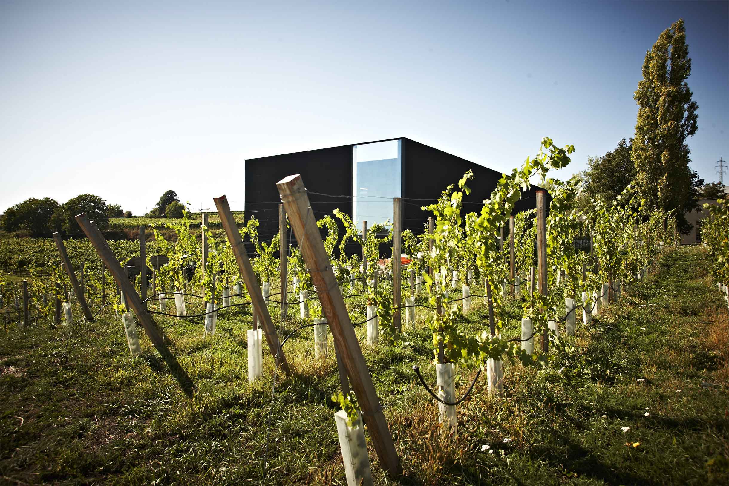 Weingut Loimer
