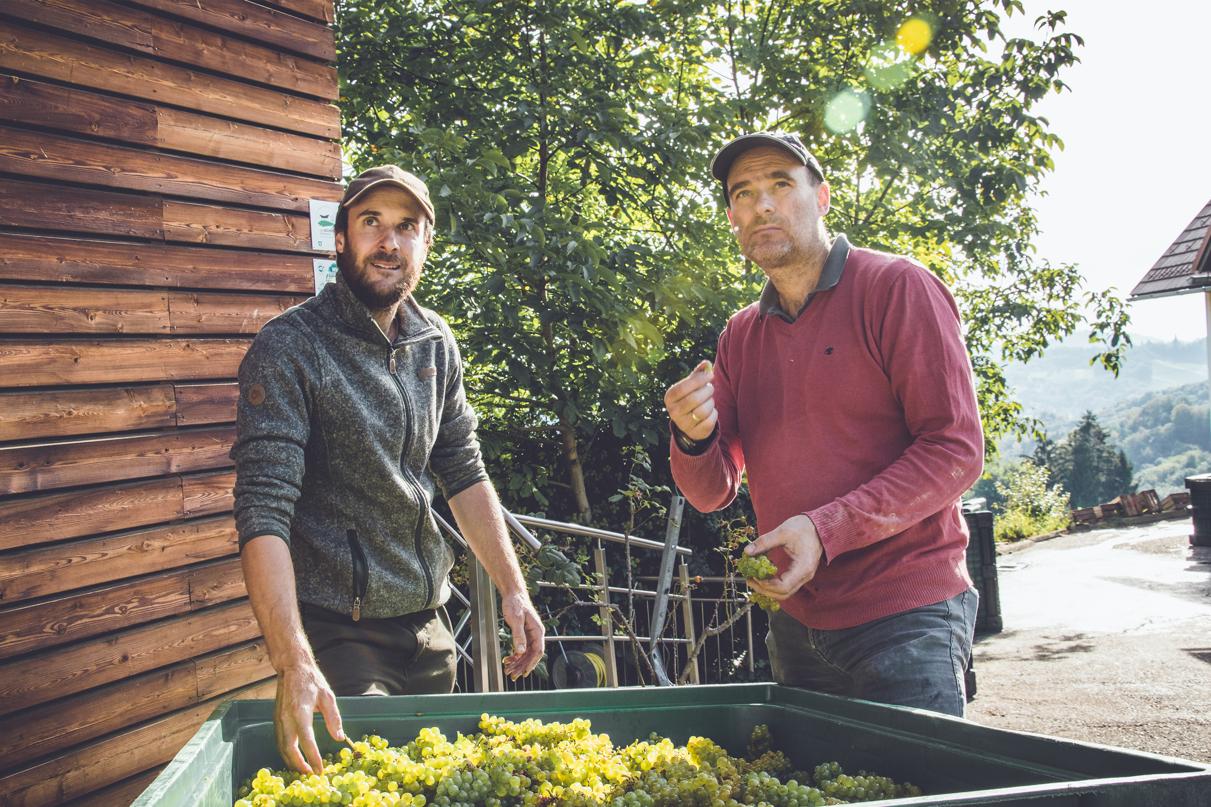 Weingut Peter Skoff
