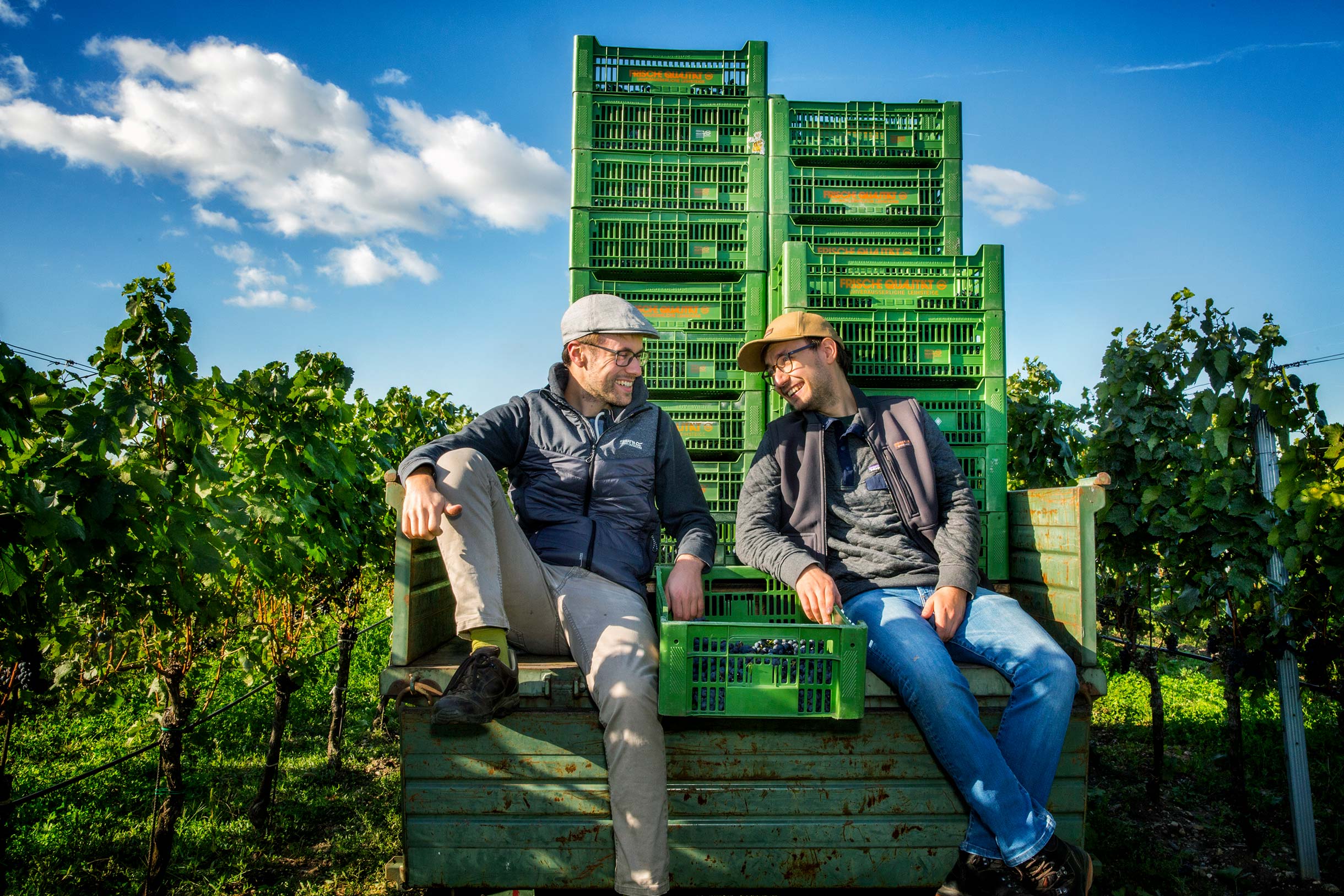 Weingut Gebrüder Nittnaus