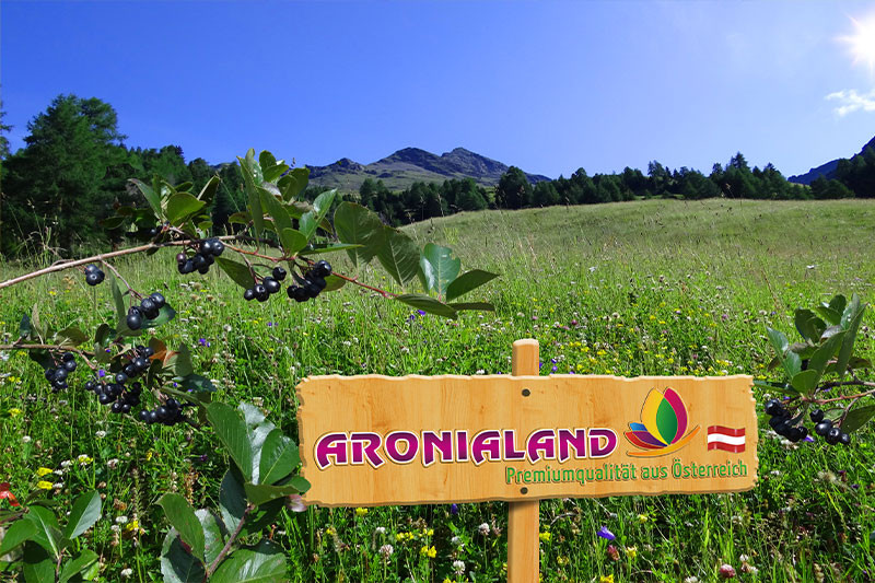 media/image/advanced-emotion-aronialand1.jpg