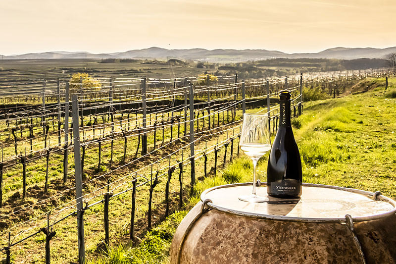media/image/weingut-steininger-emotion-3.jpg