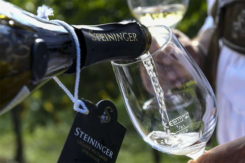media/image/weingut-steininger-emotion-1.jpg