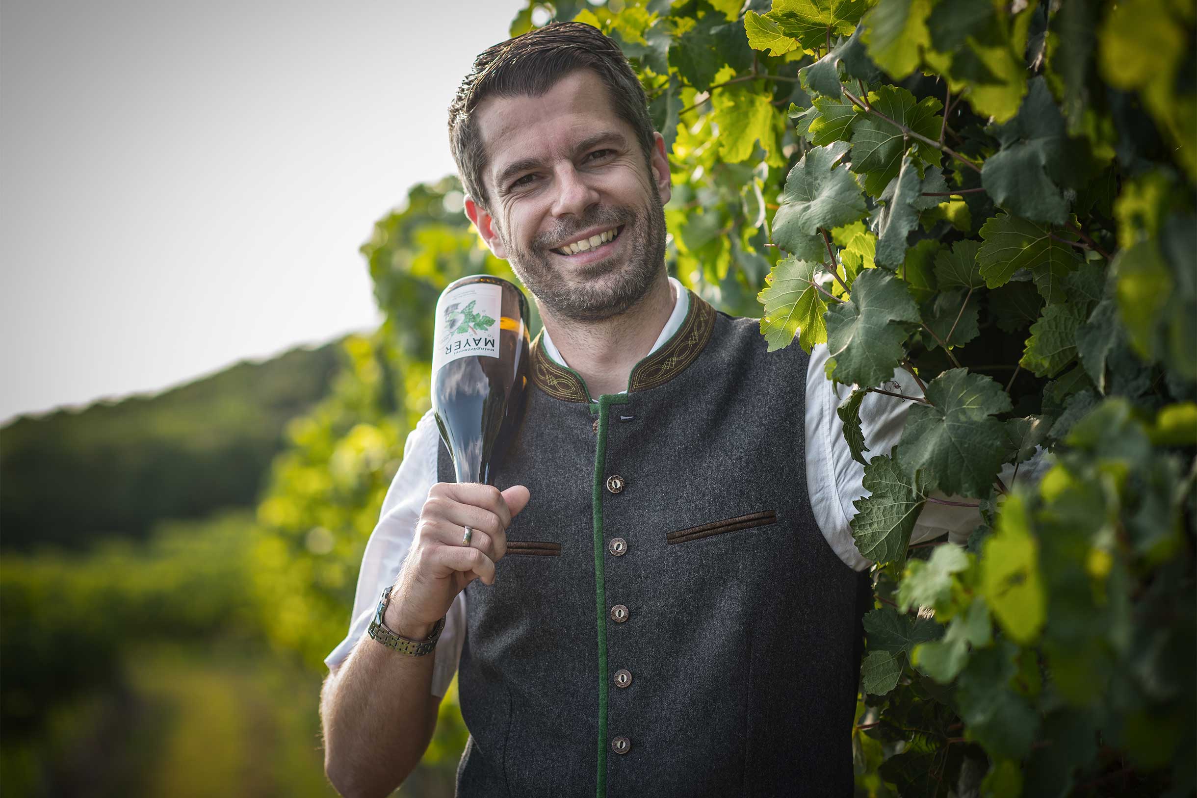 Mayer der Wein