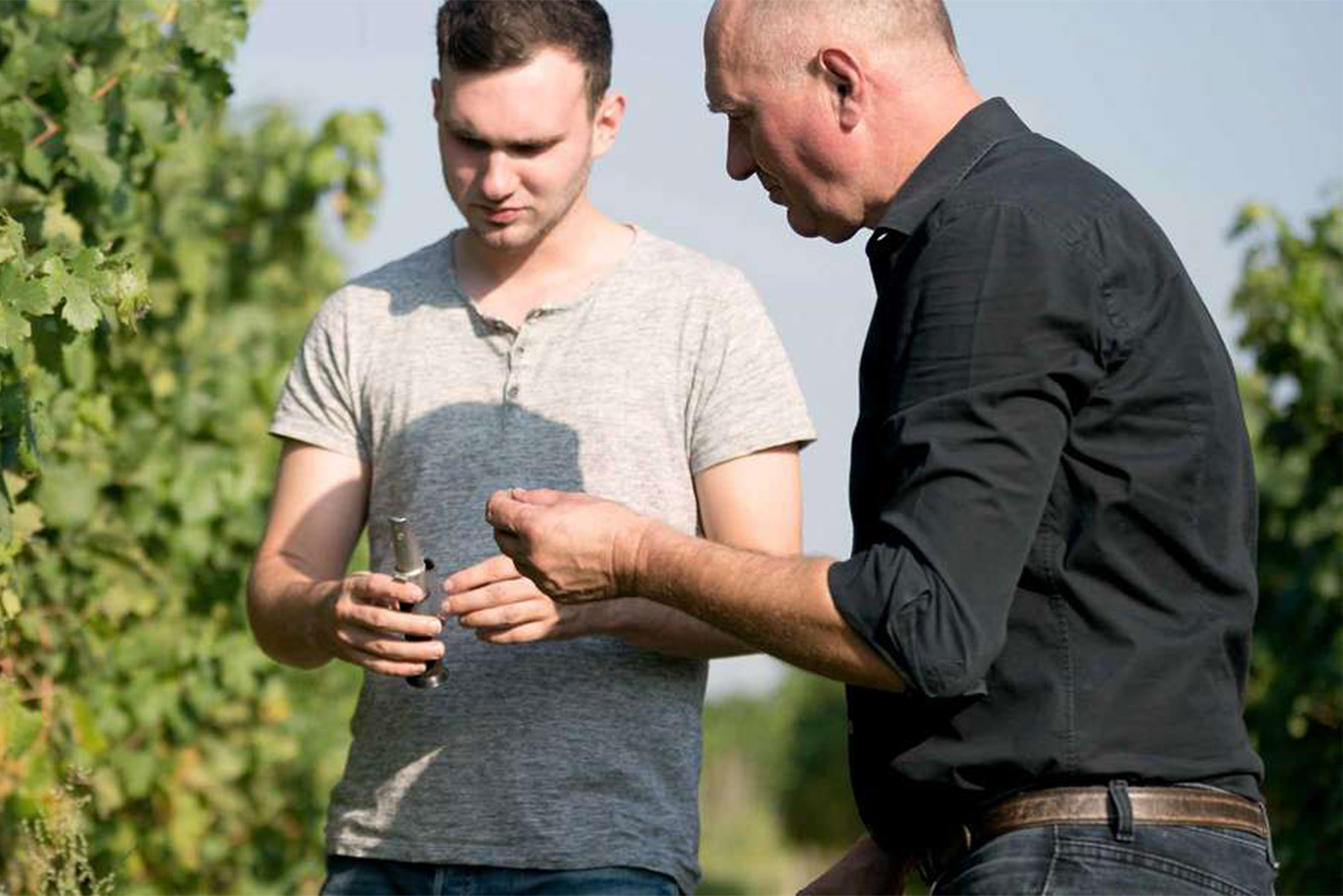 Weingut Josef Bauer